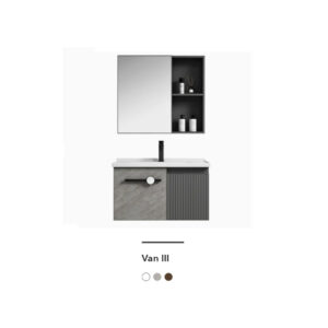 VAN III